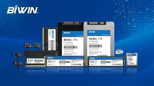 國(guó)產(chǎn)半導(dǎo)體龍頭企業(yè)佰維存儲(chǔ)向港交所提交上市申請(qǐng)書(shū)，拓展信息技術(shù)咨詢服務(wù)市場(chǎng)